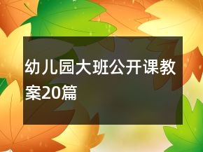 幼兒園大班公開課教案20篇