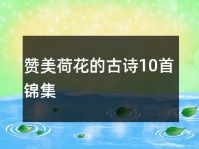 贊美荷花的古詩(shī)10首錦集