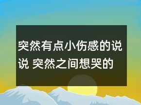突然有點小傷感的說說 突然之間想哭的句子112句