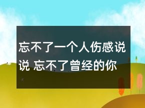 忘不了一個人傷感說說 忘不了曾經(jīng)的你的句子154句