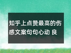 知乎上點贊最高的傷感文案句句心動 良辰美景只120句
