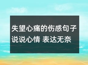 失望心痛的傷感句子說說心情 表達(dá)無奈委屈心情106句