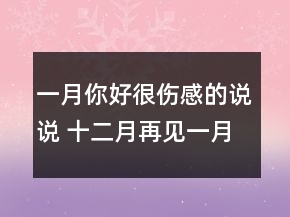 一月你好很傷感的說說 十二月再見一月你好傷感123句