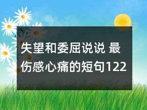 失望和委屈說說 最傷感心痛的短句122句