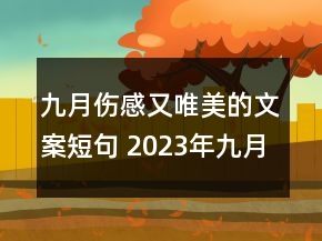 九月傷感又唯美的文案短句 2023年九月你好傷感說說145句