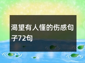 渴望有人懂的傷感句子72句