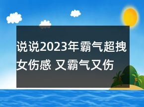 說說2023年霸氣超拽女傷感 又霸氣又傷感的女生說說144句