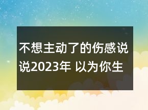 不想主動了的傷感說說2023年 以為你生性冷淡直到你81句