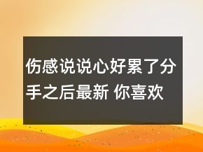 傷感說(shuō)說(shuō)心好累了分手之后最新 你喜歡的人還在147句