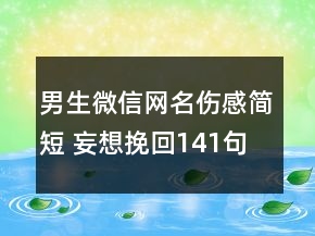 男生微信網(wǎng)名傷感簡短 妄想挽回141句