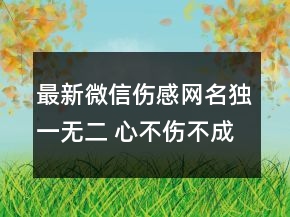 最新微信傷感網(wǎng)名獨(dú)一無(wú)二 心不傷不成長(zhǎng)89句
