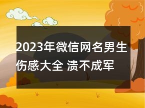 2023年微信網(wǎng)名男生傷感大全 潰不成軍的難過115句