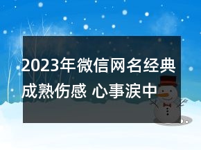 2023年微信網(wǎng)名經(jīng)典成熟傷感 心事涙中流139句