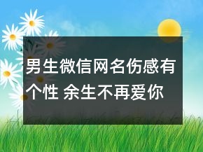 男生微信網(wǎng)名傷感有個(gè)性 余生不再愛你102句