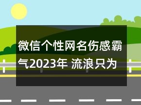 微信個性網(wǎng)名傷感霸氣2023年 流浪只為尋找你157句