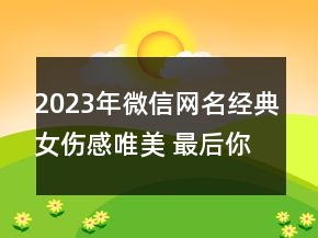 2023年微信網(wǎng)名經(jīng)典女傷感唯美 最后你的無情襯托我132句