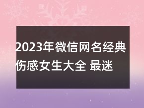2023年微信網(wǎng)名經(jīng)典傷感女生大全 最迷人的最危險(xiǎn)137句