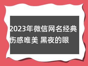 2023年微信網(wǎng)名經(jīng)典傷感唯美 黑夜的眼睛有淚陪97句