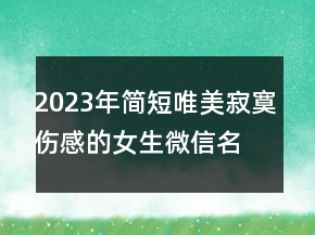 2023年簡短唯美寂寞傷感的女生微信名字 溫暖不到心160句