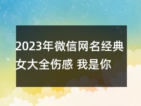 2023年微信網(wǎng)名經(jīng)典女大全傷感 我是你意想不到的無(wú)141句