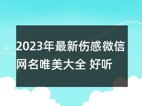 2023年最新傷感微信網(wǎng)名唯美大全 好聽又傷感的微信83句