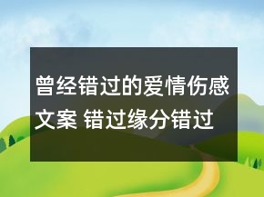 曾經(jīng)錯(cuò)過(guò)的愛(ài)情傷感文案 錯(cuò)過(guò)緣分錯(cuò)過(guò)你71句