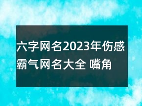 六字網(wǎng)名2023年傷感霸氣網(wǎng)名大全 嘴角殘存的笑124句