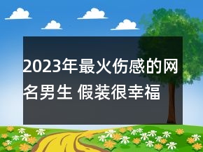 2023年最火傷感的網(wǎng)名男生 假裝很幸福83句