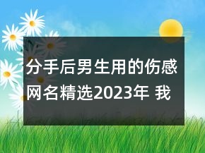 分手后男生用的傷感網(wǎng)名精選2023年 我假裝放手你卻96句