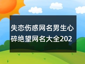 失戀傷感網(wǎng)名男生心碎絕望網(wǎng)名大全2023年 回憶是含98句
