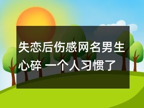 失戀后傷感網(wǎng)名男生心碎 一個人習(xí)慣了發(fā)呆117句