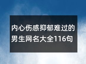 內(nèi)心傷感抑郁難過的男生網(wǎng)名大全116句