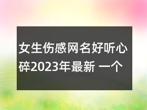 女生傷感網(wǎng)名好聽心碎2023年最新 一個人的天荒地老141句