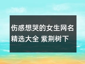 傷感想哭的女生網(wǎng)名精選大全 紫荊樹下的指甲156句