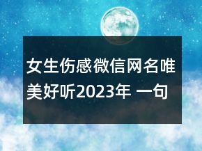 女生傷感微信網(wǎng)名唯美好聽2023年 一句挽留的話都沒77句