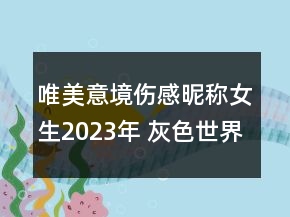 唯美意境傷感昵稱女生2023年 灰色世界里的紅玫瑰139句