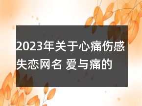 2023年關(guān)于心痛傷感失戀網(wǎng)名 愛與痛的邊緣102句