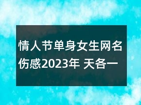 情人節(jié)單身女生網(wǎng)名傷感2023年 天各一方各自天涯120句