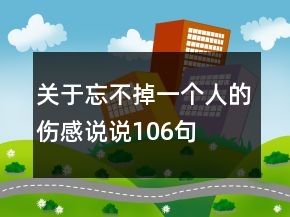 關(guān)于忘不掉一個人的傷感說說106句