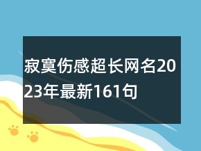 寂寞傷感超長網(wǎng)名2023年最新161句