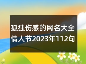 孤獨傷感的網(wǎng)名大全情人節(jié)2023年112句
