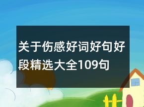 關(guān)于傷感好詞好句好段精選大全109句