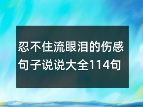 忍不住流眼淚的傷感句子說說大全114句