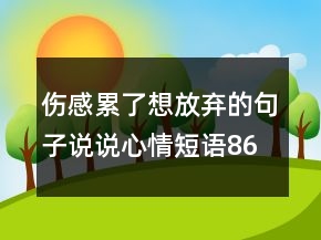傷感累了想放棄的句子說(shuō)說(shuō)心情短語(yǔ)86句