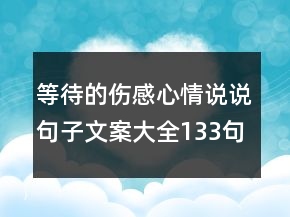 等待的傷感心情說(shuō)說(shuō)句子文案大全133句
