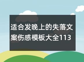 適合發(fā)晚上的失落文案傷感模板大全113句