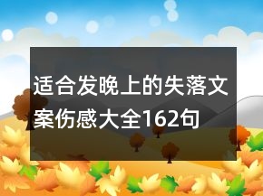 適合發(fā)晚上的失落文案傷感大全162句