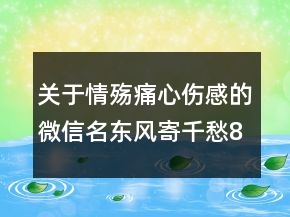 關(guān)于情殤痛心傷感的微信名東風(fēng)寄千愁84句