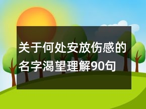 關(guān)于何處安放傷感的名字渴望理解90句