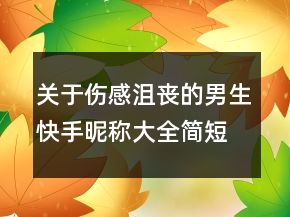 關于傷感沮喪的男生快手昵稱大全簡短別了那曾66句